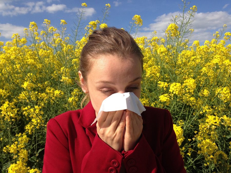 alergiczny nieżyt nosa leczenia