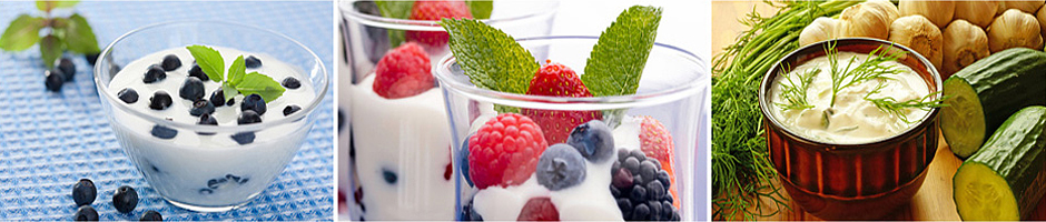jogurty w diecie